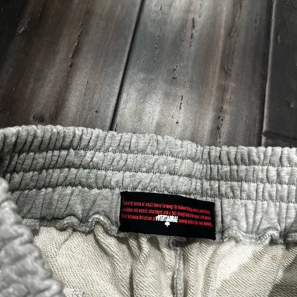 Vertebrae Sweatpants - Picture 3 of 3